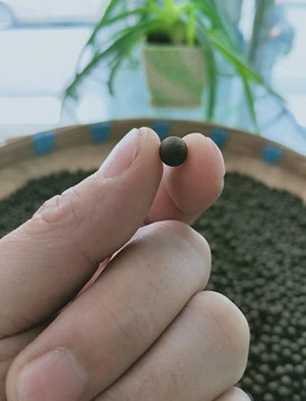 【健康养生】注意啦！中药剂型，选对效果才好